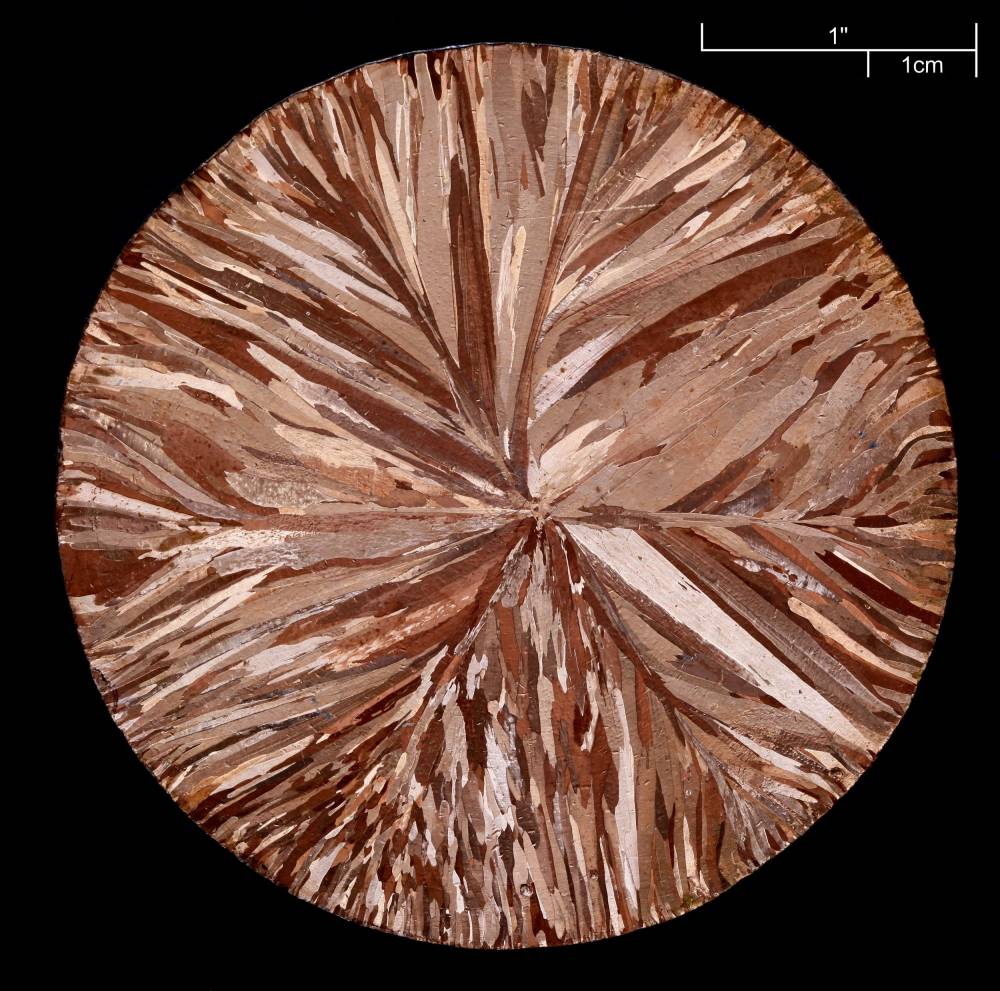 Copper disc, etched to reveal crystallites. Image Heinrich Pniok.