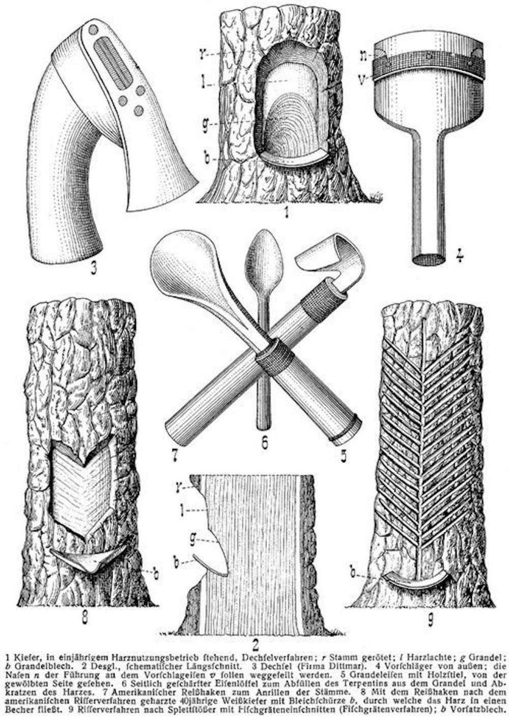 Pine Tapping Tools, Lueger, Otto: Lexikon der gesamten Technik und ihrer Hilfswissenschaften, Bd. 1 Stuttgart, Leipzig 1920, S. 272–274.